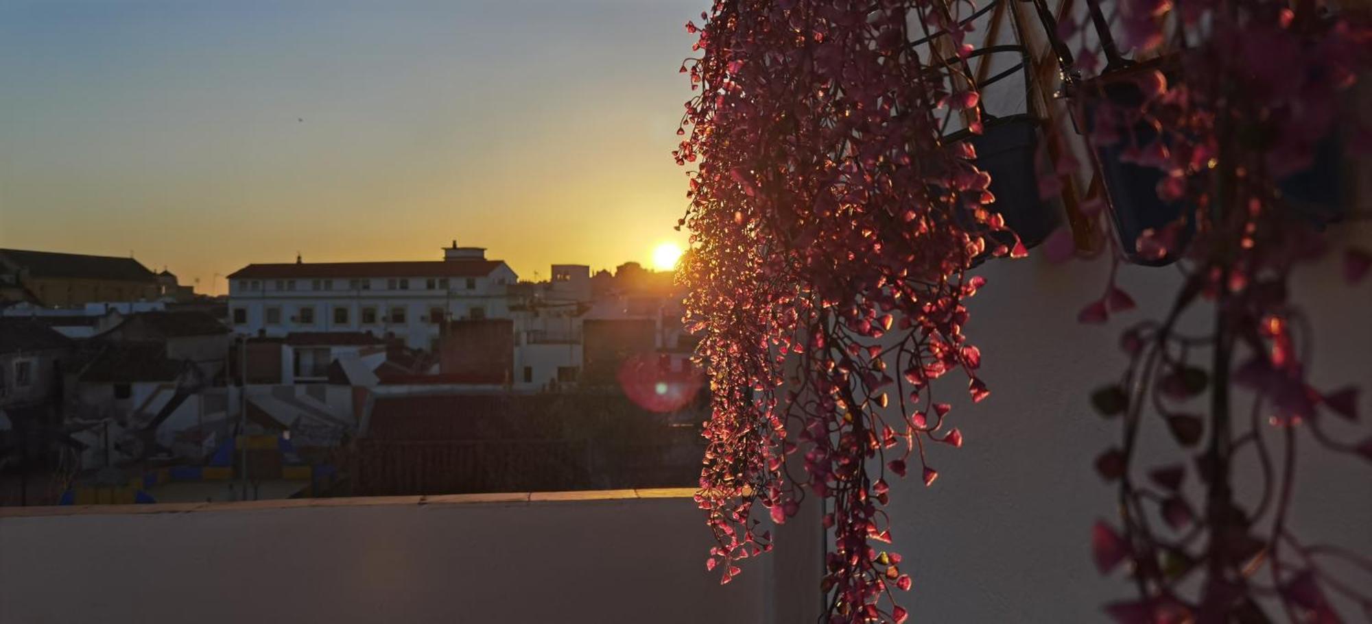 La Luz De San Eloy Córdoba
